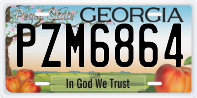 GA license plate PZM6864