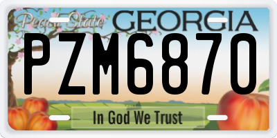 GA license plate PZM6870