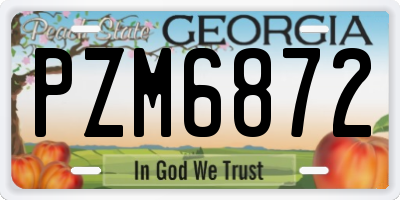 GA license plate PZM6872