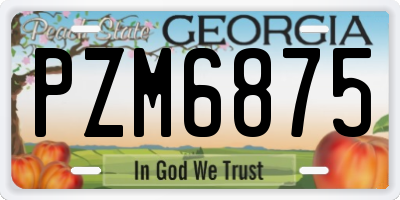 GA license plate PZM6875