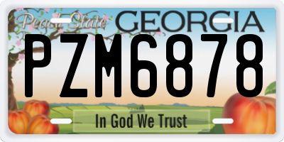 GA license plate PZM6878