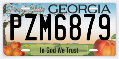 GA license plate PZM6879