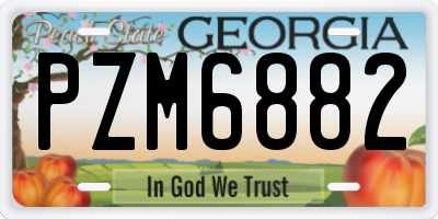 GA license plate PZM6882