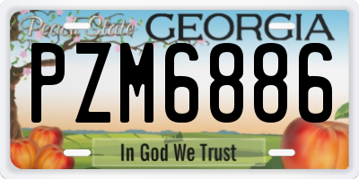 GA license plate PZM6886