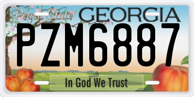GA license plate PZM6887