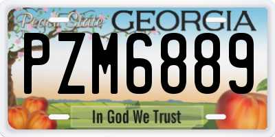 GA license plate PZM6889