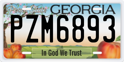 GA license plate PZM6893