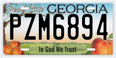 GA license plate PZM6894