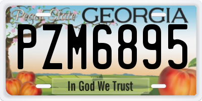 GA license plate PZM6895