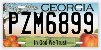 GA license plate PZM6899