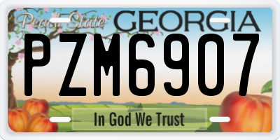 GA license plate PZM6907