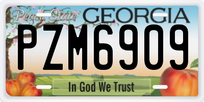 GA license plate PZM6909