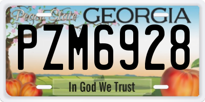 GA license plate PZM6928