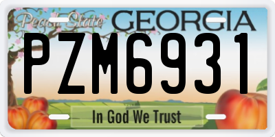 GA license plate PZM6931