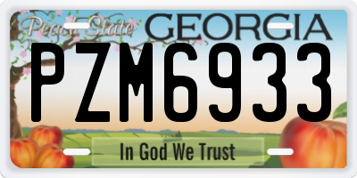 GA license plate PZM6933