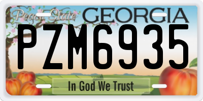 GA license plate PZM6935