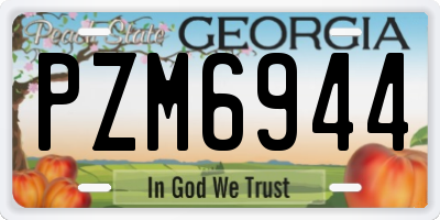GA license plate PZM6944