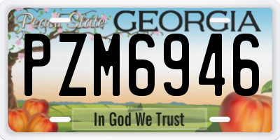 GA license plate PZM6946