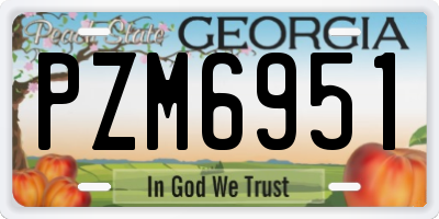 GA license plate PZM6951