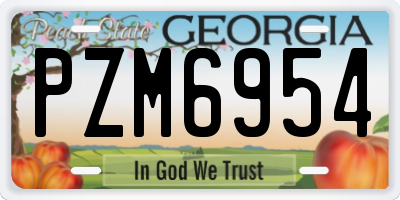 GA license plate PZM6954