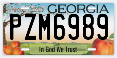 GA license plate PZM6989