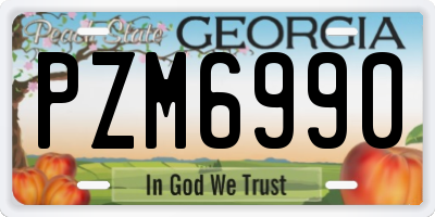 GA license plate PZM6990