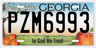GA license plate PZM6993