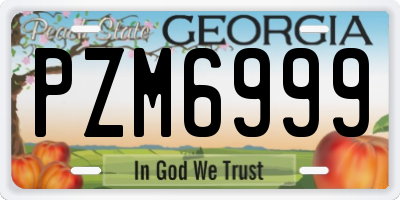 GA license plate PZM6999