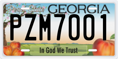 GA license plate PZM7001