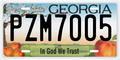 GA license plate PZM7005