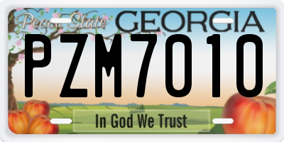 GA license plate PZM7010