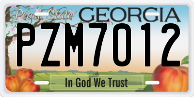 GA license plate PZM7012