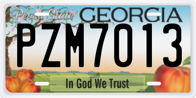 GA license plate PZM7013