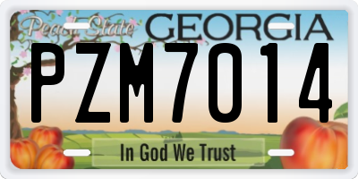 GA license plate PZM7014
