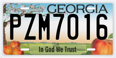 GA license plate PZM7016