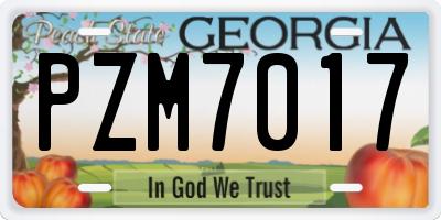 GA license plate PZM7017