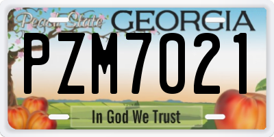 GA license plate PZM7021