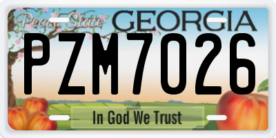 GA license plate PZM7026