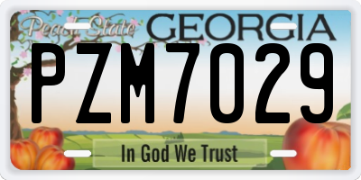 GA license plate PZM7029
