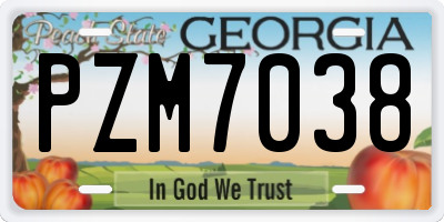 GA license plate PZM7038