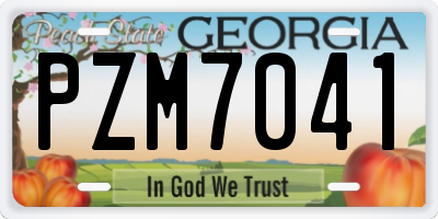 GA license plate PZM7041