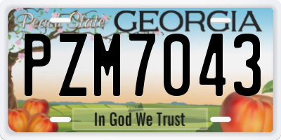 GA license plate PZM7043