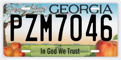 GA license plate PZM7046