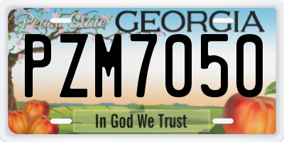 GA license plate PZM7050