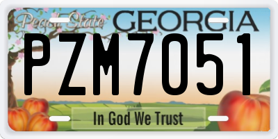 GA license plate PZM7051
