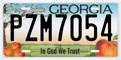 GA license plate PZM7054
