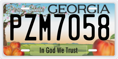 GA license plate PZM7058