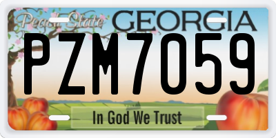 GA license plate PZM7059