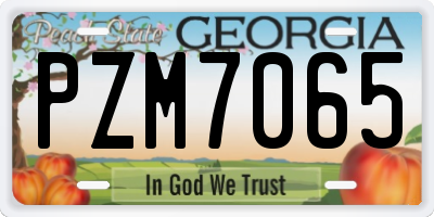 GA license plate PZM7065