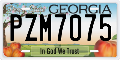 GA license plate PZM7075